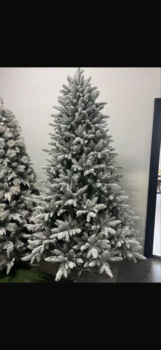 Шырша (елка) сатамын.