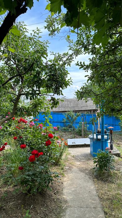 Casa + anexe + vie 1900mp Bichesti, Boghesti, Vrancea
