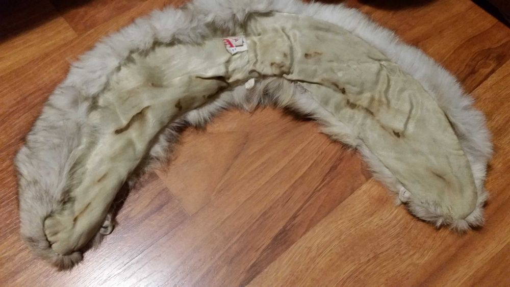 Vand guler de vulpe polara