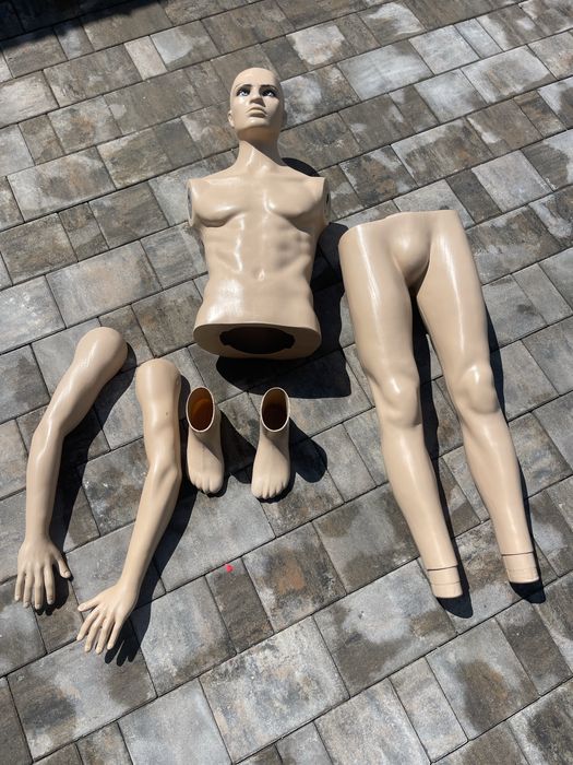 Manechin masculin barbat