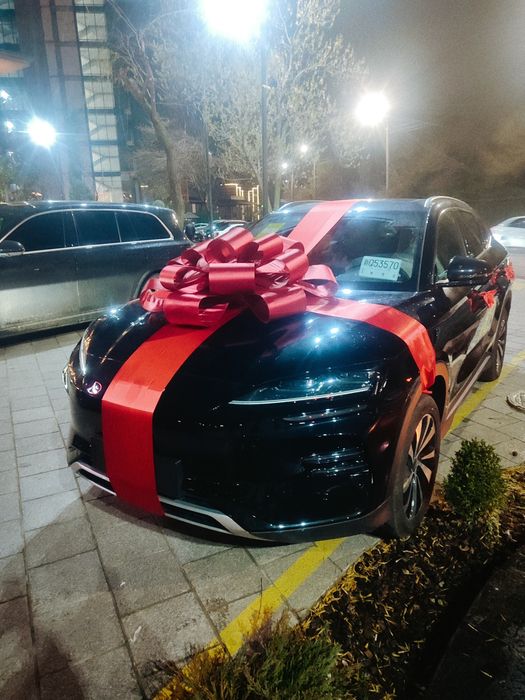 Avtabantik lenta бант для машины лента