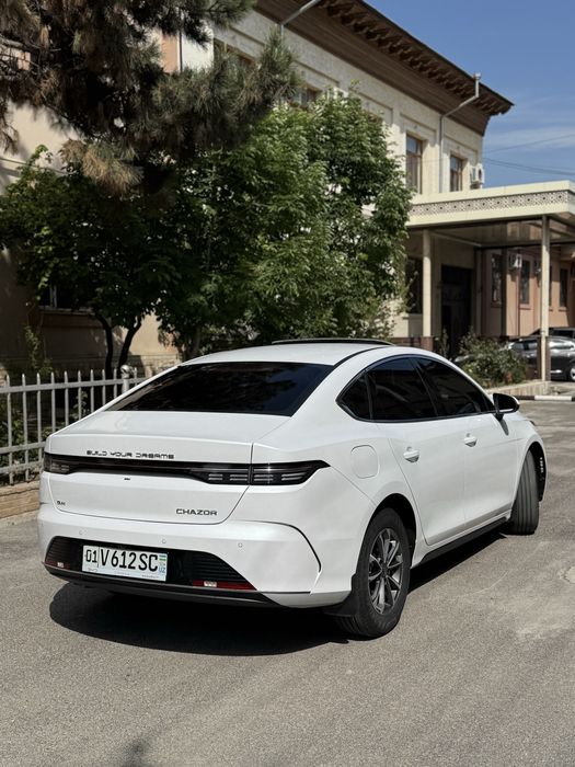 Other Chazor 2024 — 3