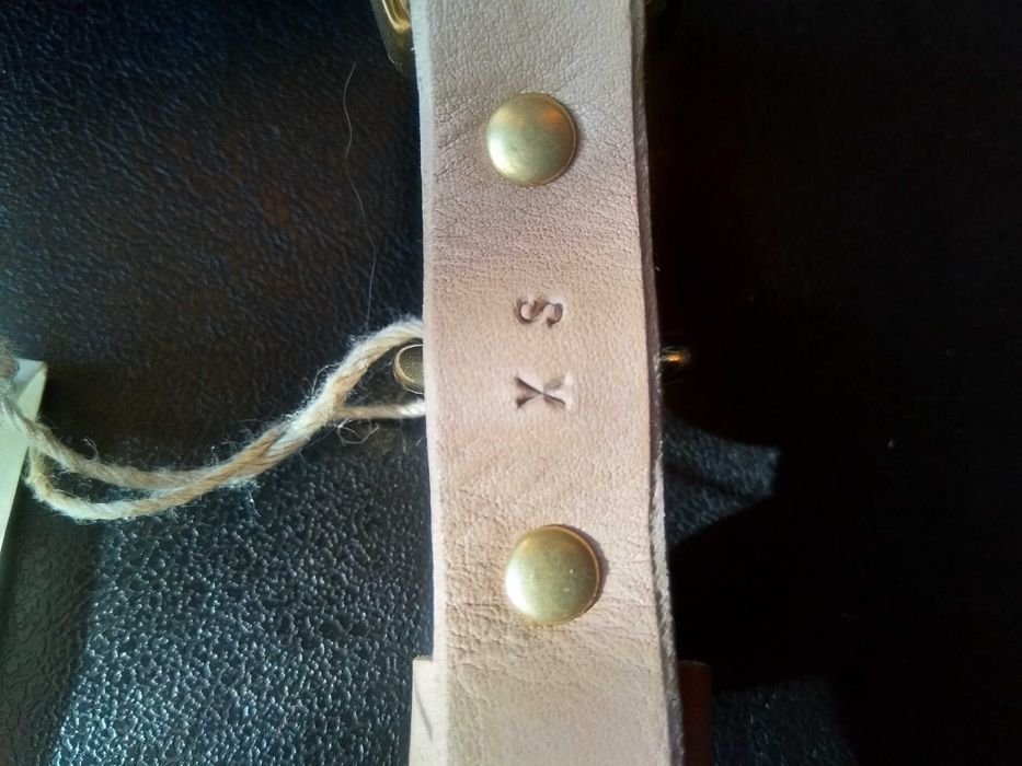 Кожен нашийник каишка за куче Band&Roll