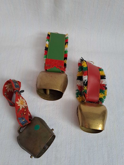 talanga elvetiana  24 cm curea