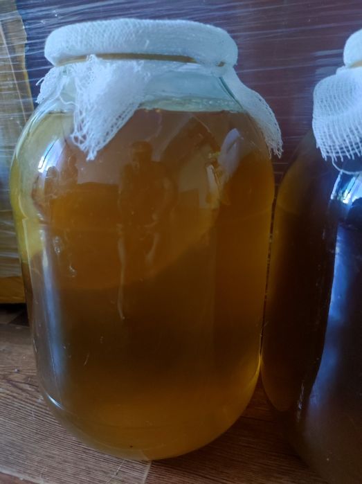 Продам домашний лимонад чайный гриб
