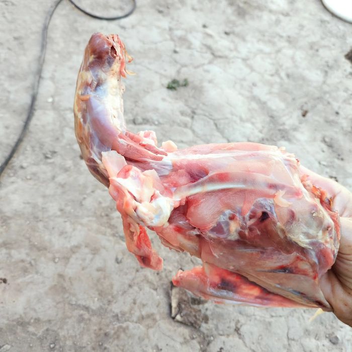 Косточки, корма для собак и кошек