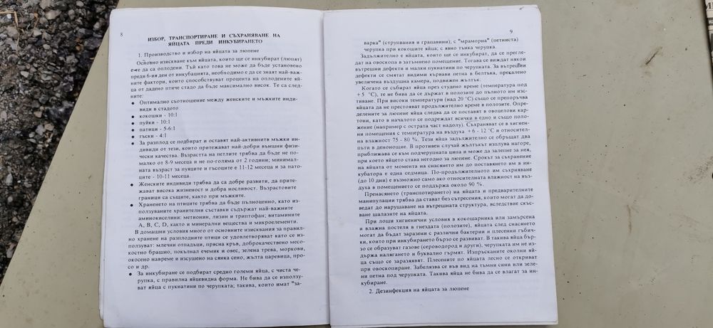 Инкубатор Декада