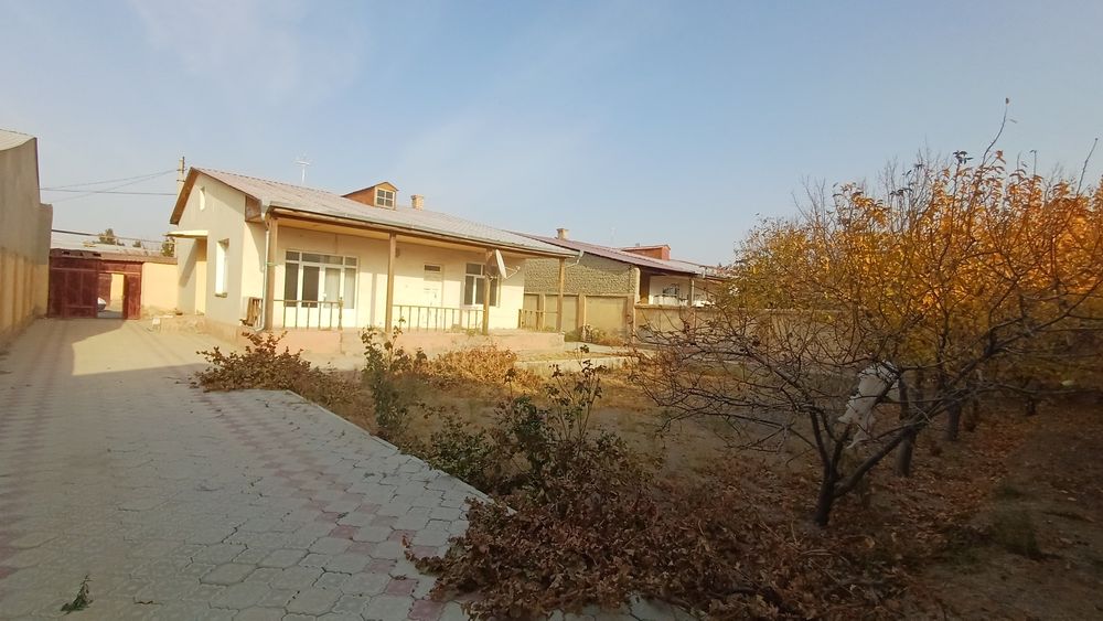 Malikoboda katej sotiladi