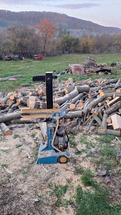 Cosesc iarba  defrisej cu motocoasa profesionala