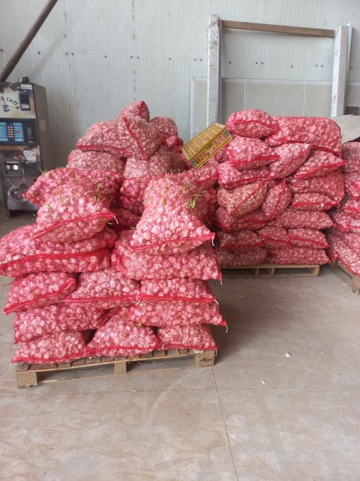 Vand ust de pus în pământ 4 lei!!