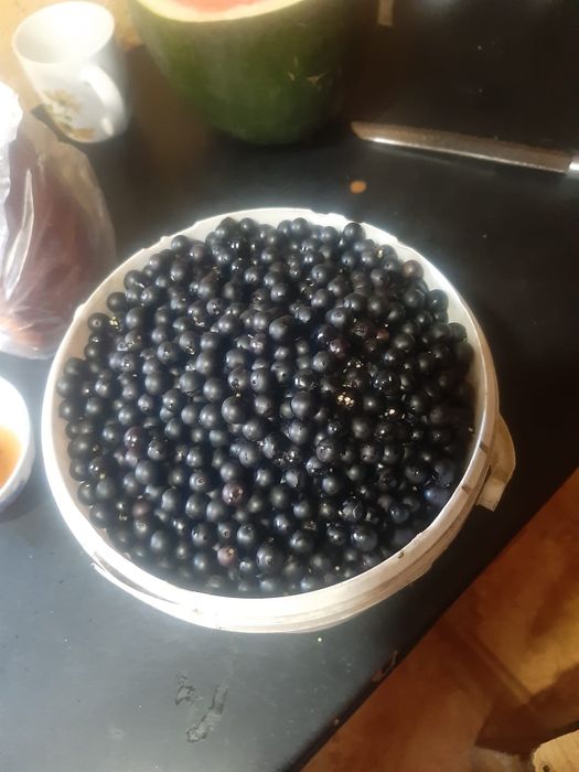 Продам паслён с доставкой