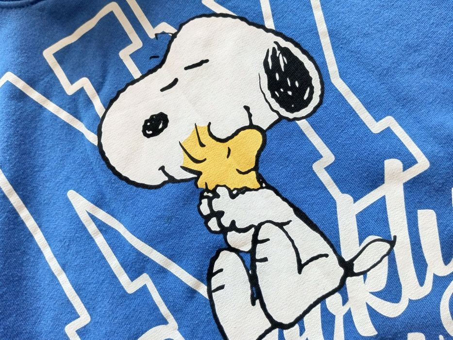 Толстовка унисекс