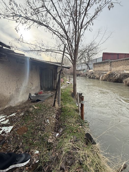 Учаска сотилати 6 сутих ер хисобида