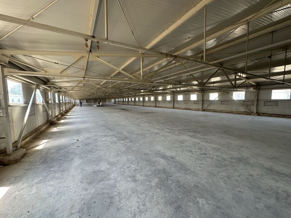 Hale industriale de închiriat – Ciorogârla, lângă A0