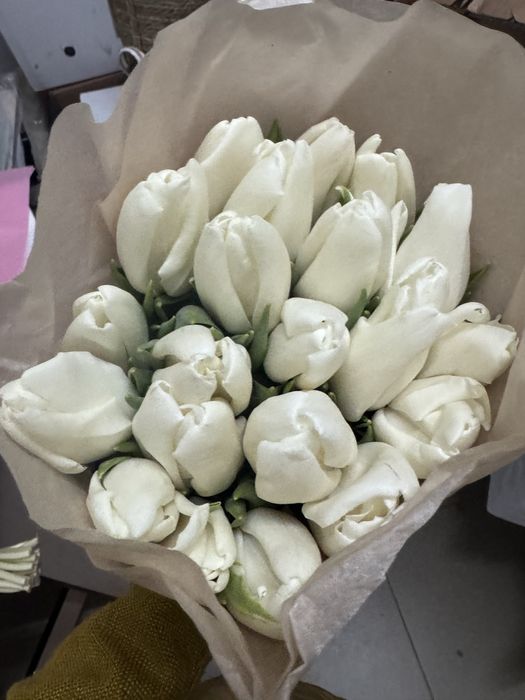 Премипльные тюльпаны