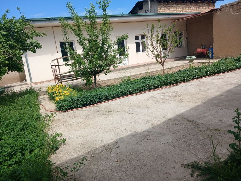 Oltin tepa tutzor havas