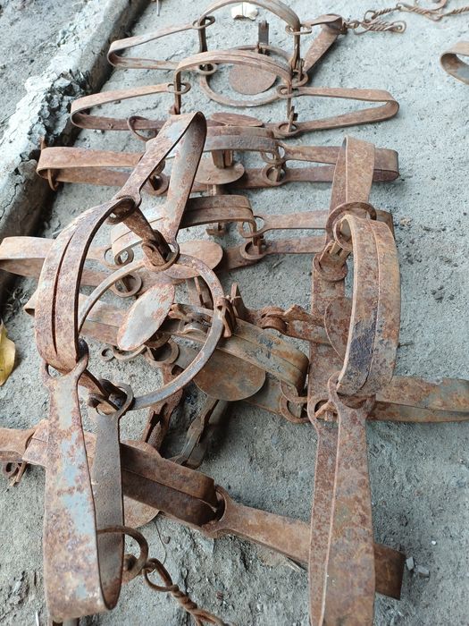 Продам капканы для ловли хищников.