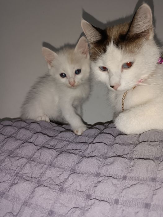 Maritza Mendez bilan porno video