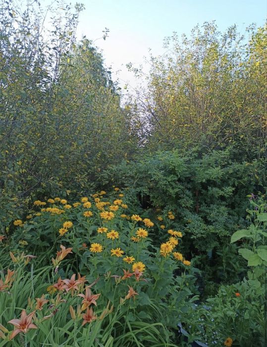 Продам дачу 8соток в дачном обществе горизонт.