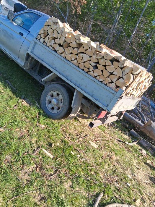 Vând material lemnos