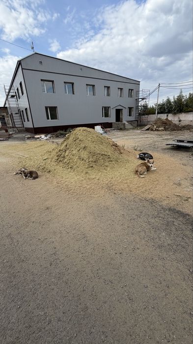 Отдам собачек в добрые руки