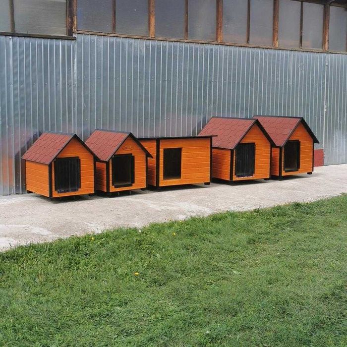 Cusca Caine Talie Mare Diverse Modele si Optionale - atvi.eu