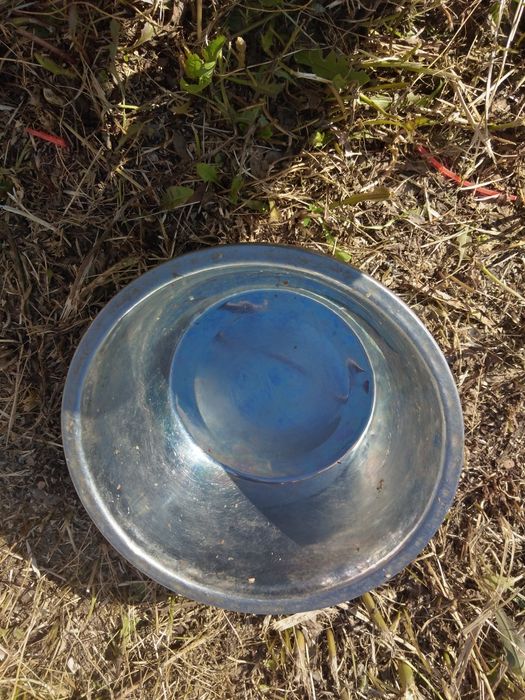 Будки, цепи, чашки, ощейники.