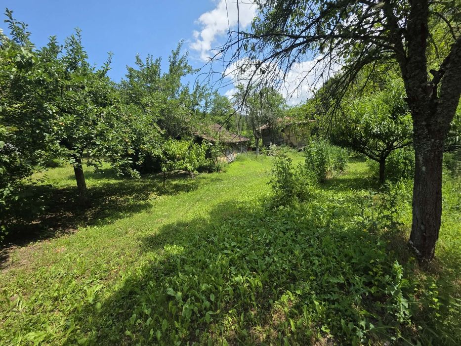 Продавам Къща в село Лява Река