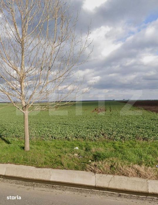 Teren 15.000 mp, 28 parcele, Peugeot/Pielesti