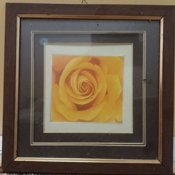 Картини в рамка-отлично състояние