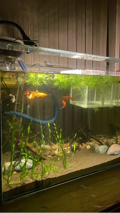 Аквариум комплект