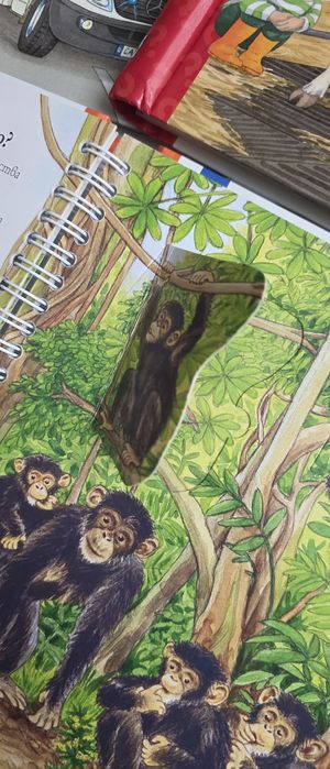 Детски книжки с капачета