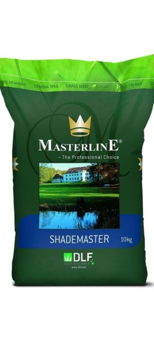 Gazon ekish va lanshaf