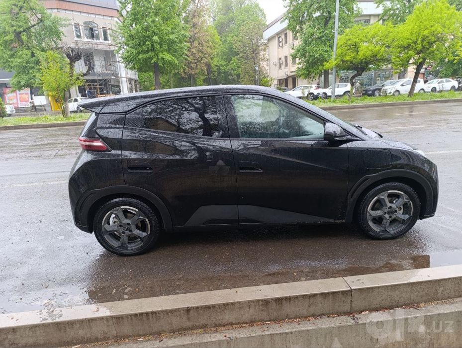 bvd segull sotlidai kraskasi bor rangi qora