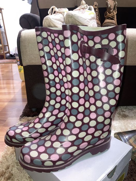 Cimze de dama de ploaie