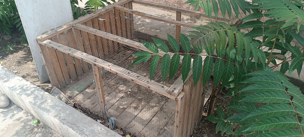 Катак, клетка сотилади