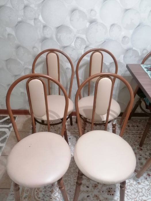 Продам стол и стулья 6шт