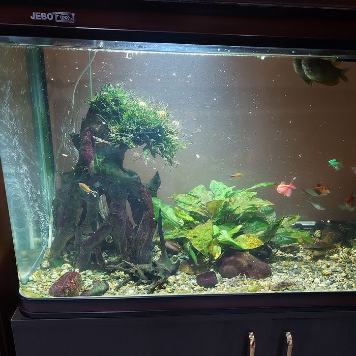 Продам аквариумм