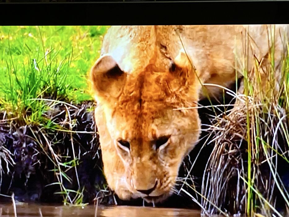 Ful Led Quattron  Sharp-40”!Made in Japan!