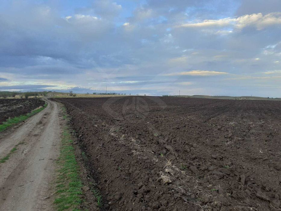 Продава се Парцел в Каблешково - 11500 кв.м за 7 €/кв.м - Снимка #2