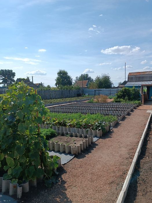 Продам дачу, сады 1, после сбора урожая