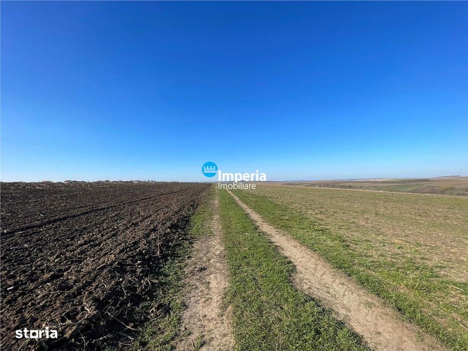 Rediu Horlesti 30000 mp  Soseaua DJ 282