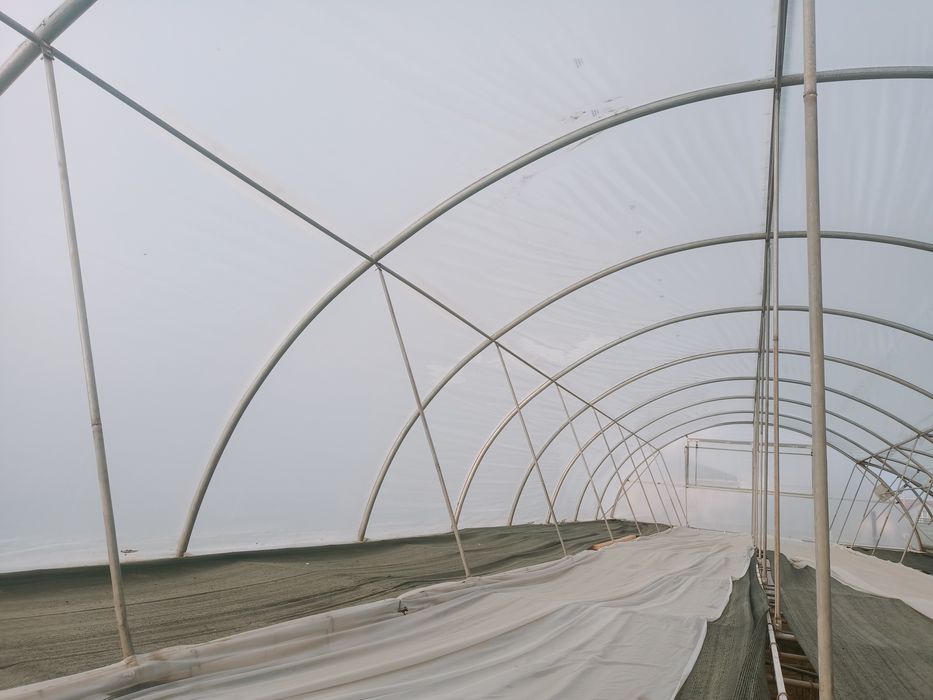 SERĂ / SOLAR Țeavă galvanizata Trebes • OLX.ro