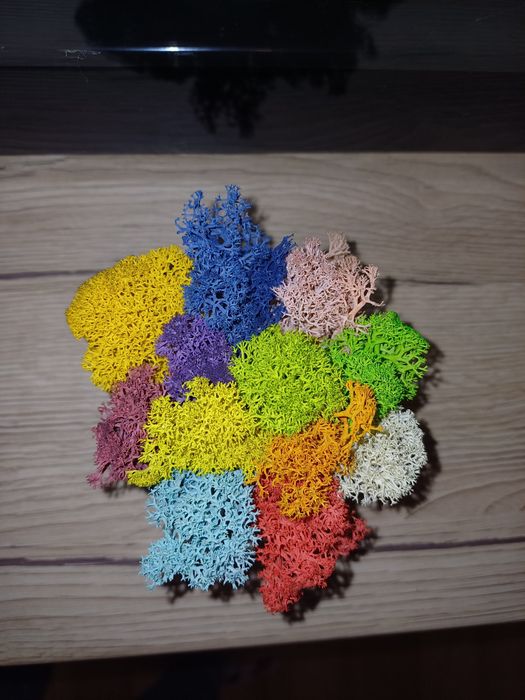 Кашпи със скандинавски мъх