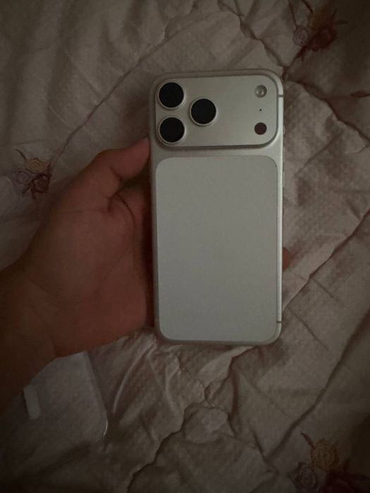 17 max 256 gb silver