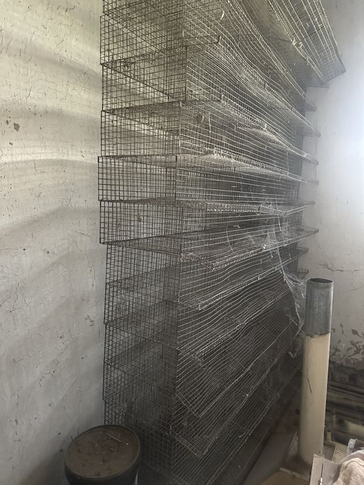 Bedana qafas tuxum yetishtirish un