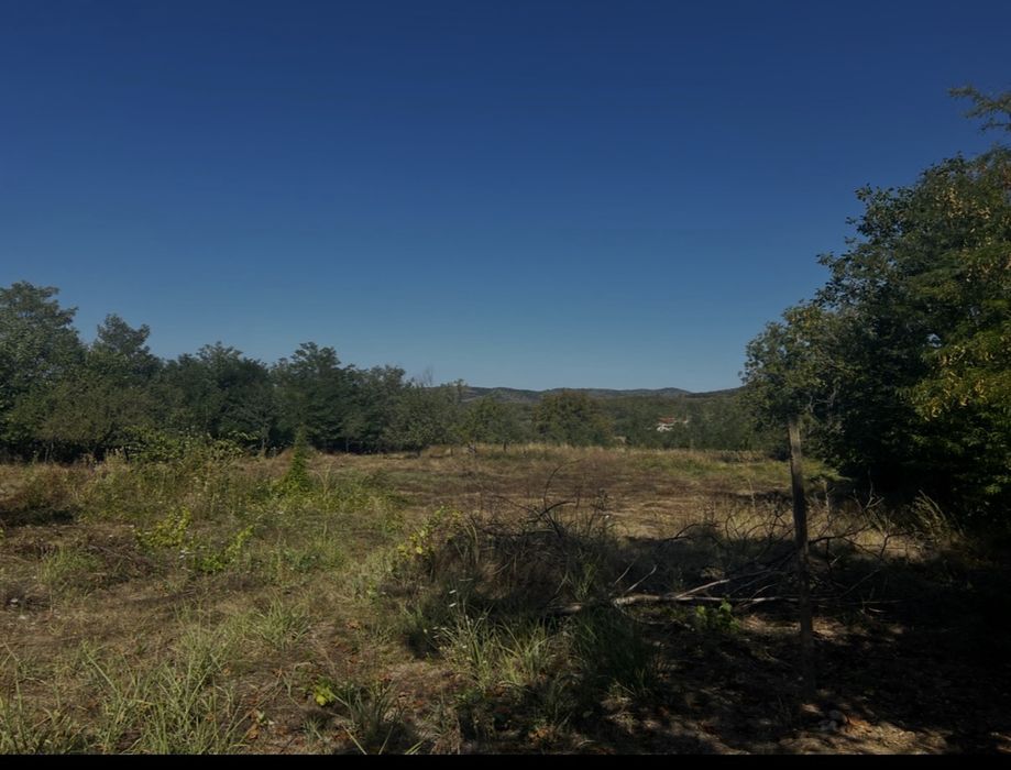 Parcele teren intravilan Săsenii Vechi Vernesti