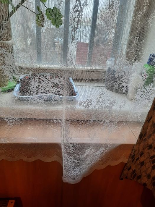 Продам шторы на кухню