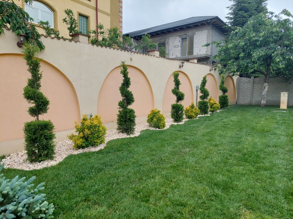 Amenajări grădini sisteme de irigare profesionale Plante ornamentale