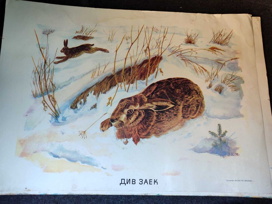 Стари училищни плакати